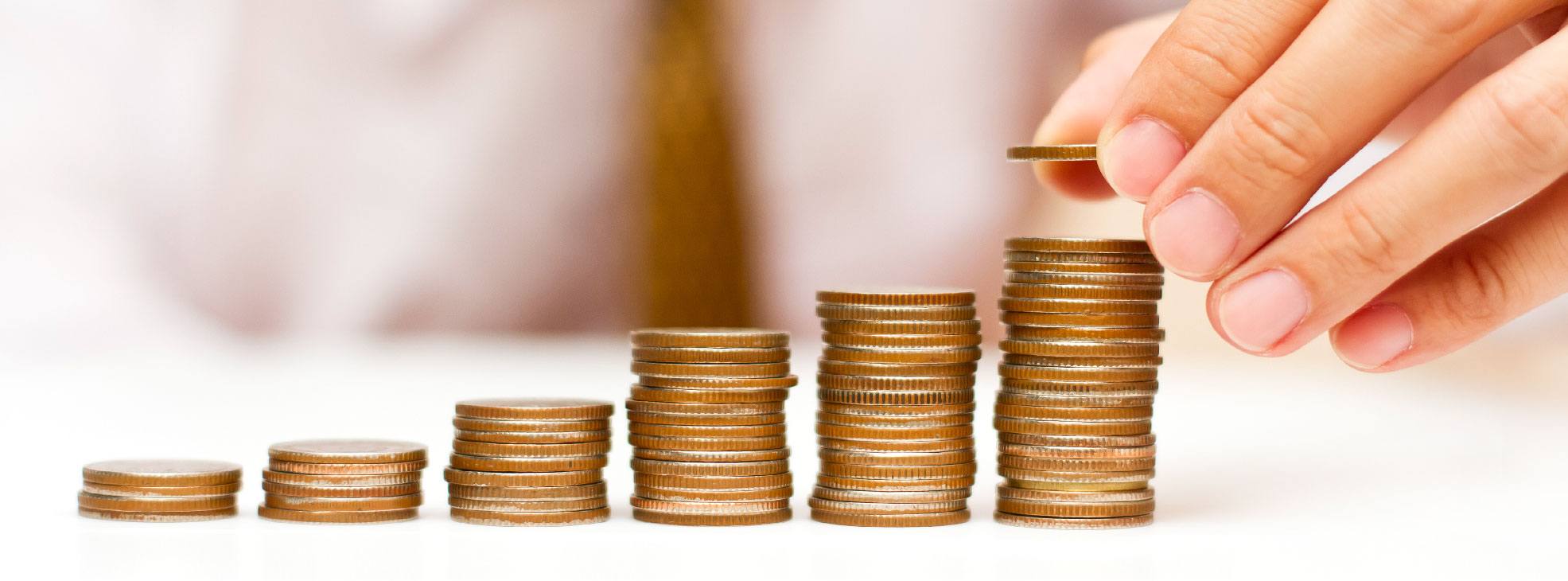 Anapara Koruma Amacli Fonlar