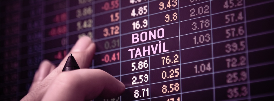 Hazine Bonosu ve Devlet Tahvili Yatırımı
