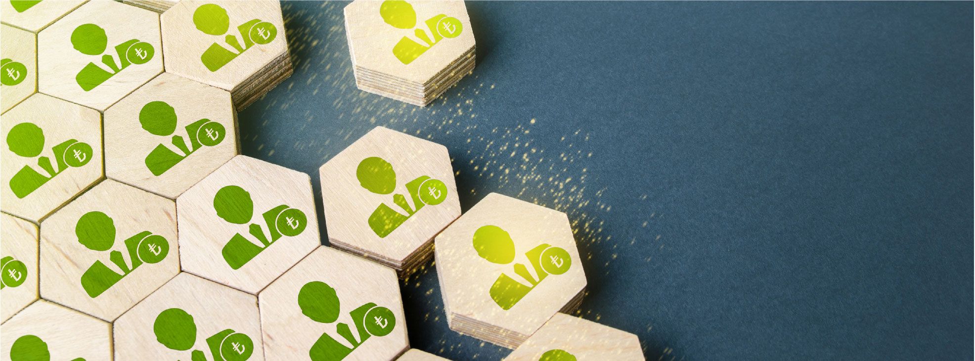 Katılım bankacılığı nedir