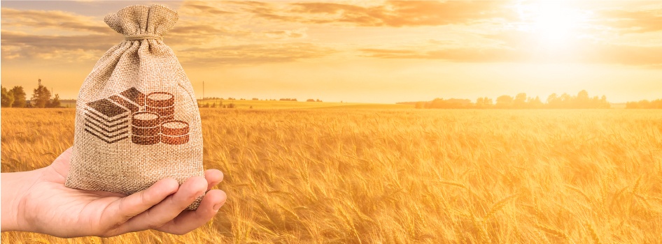 Tarım Bankacılığı